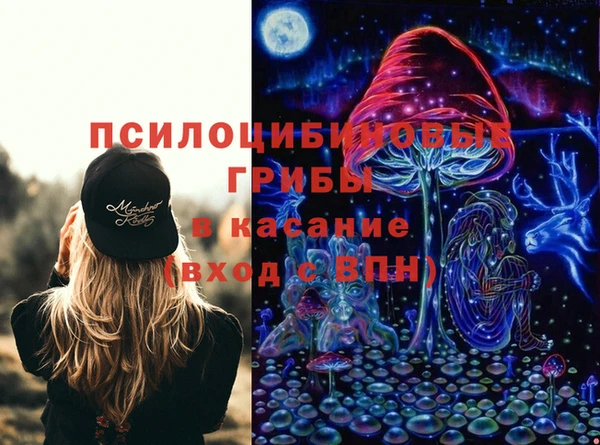 jwh Богородск